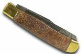 Pocket Knife with Fossil Dinosaur Bone Inlays & Base #370786-2